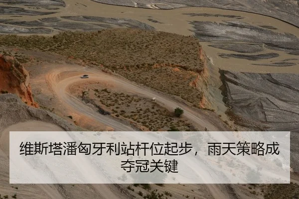 维斯塔潘匈牙利站杆位起步，雨天策略成夺冠关键